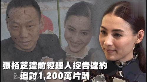 娱乐吃瓜专一,吃瓜群众必备的幕后故事
