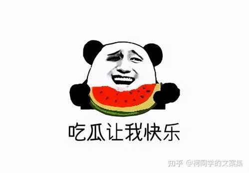 吃瓜群众有话说,揭秘娱乐圈背后的真相与八卦