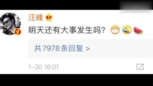 娱乐圈吃瓜去哪个网站,盘点热门网站,让你轻松掌握最新动态