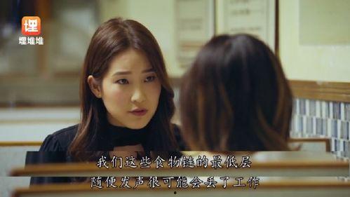 娱乐圈直播吃瓜小说,瓜田里的明星秘闻